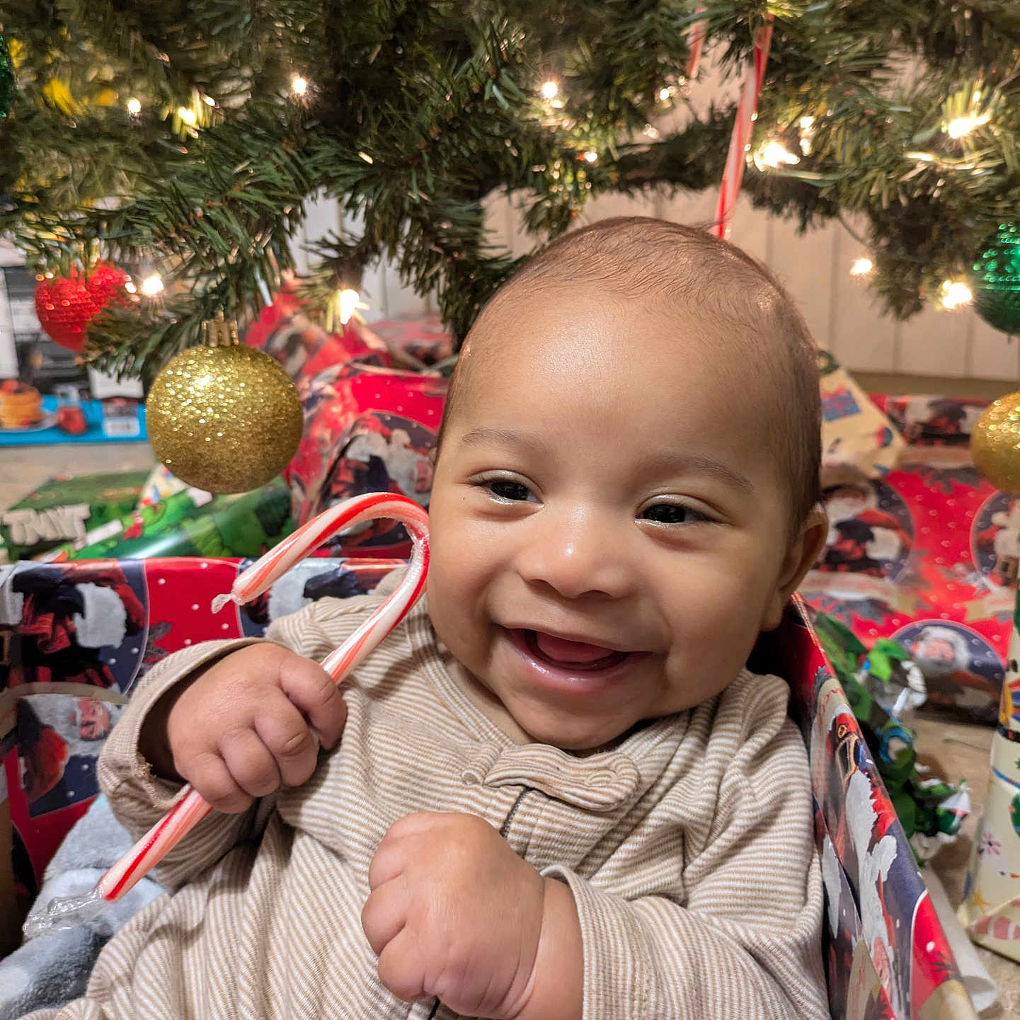 Lavon joined the competition — help win amazing prizes! accessories, baby, bodypart, conifer, couch, face, finger, fir, furniture, hand, happy, head, lighting, ornament, person, photography, plant, portrait, smile, tree