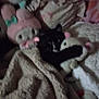 cat, tuxedo_cat, black_cat, plush_toy, stuffed_animal, blanket, bed, cozy, cuddling, cute, pet, indoor, soft_texture, fabric, sleepy, paws, whiskers, low_light, closeup, portrait