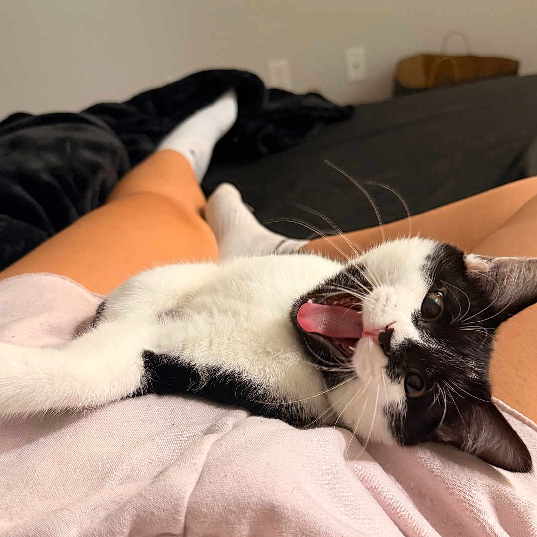 Milo