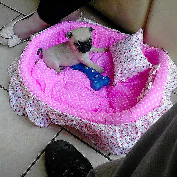 Paris is registered to the contest to win money with this photo: