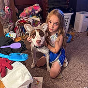 Skye joined the competition — help win amazing prizes! child, dog, indoor, carpet, toy, laundry_basket, brush, glove, headband, ears, furniture, brick_wall, door, hair_brush, clothing, pet, floor, young_girl, curly_hair, playful