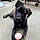 Marmaduke
