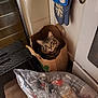cat, one-eyed_cat, paper_bag, kitchen, recycling_bag, cans, bottles, plastic_bag, step_stool, floor, cabinet, door_knob, tabby_cat, pet, indoor, animal, container, recycling, winking_cat, cozy