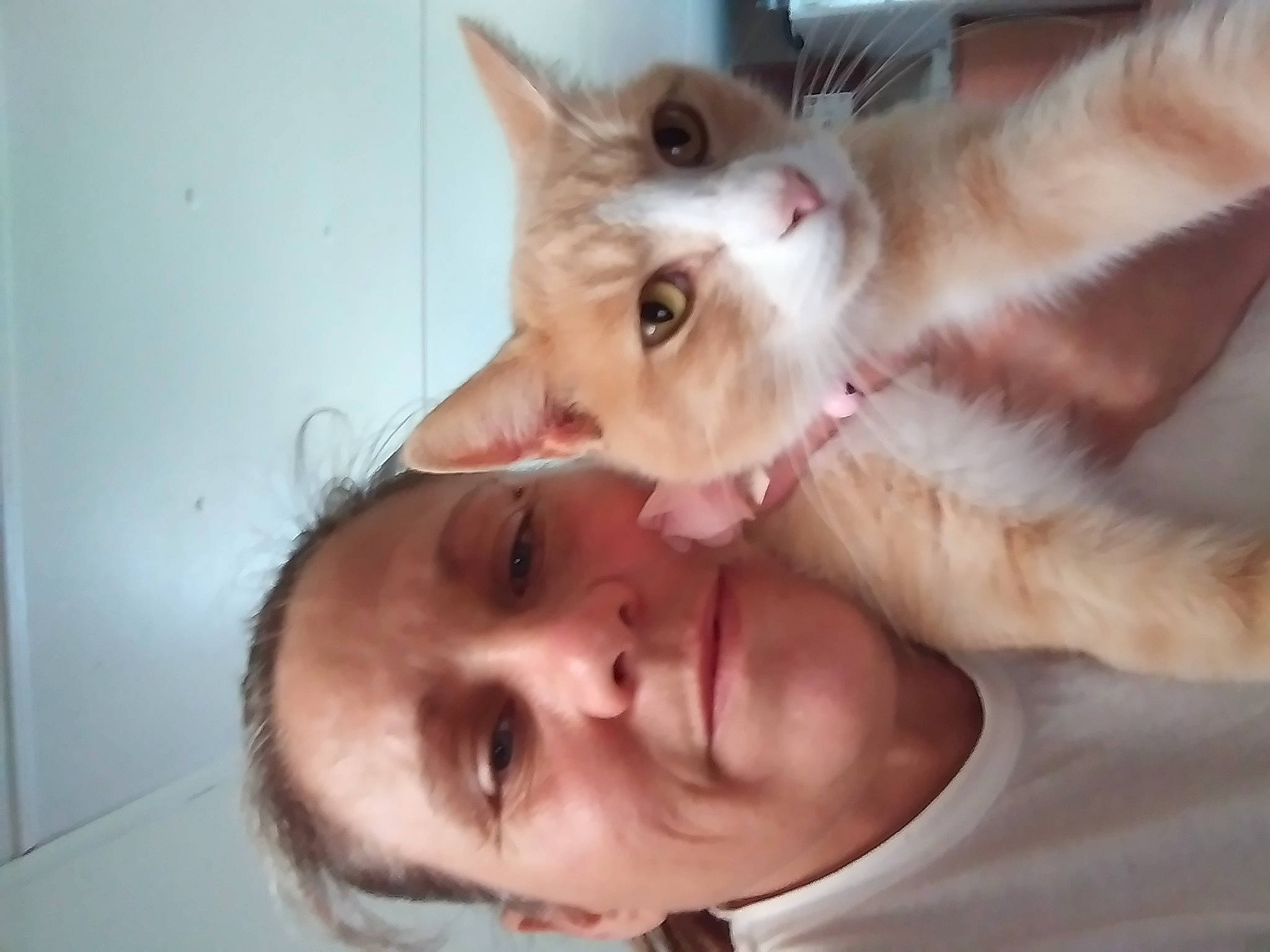 Rose is registered to the contest to win money with this photo: aegean_cat, carnivore, cat, ear, european_shorthair, eye, face, facial_expression, felidae, fur, head, kitten, mouth, nose, organ, polydactyl_cat, skin, small_to_medium_sized_cats, snout, whiskers