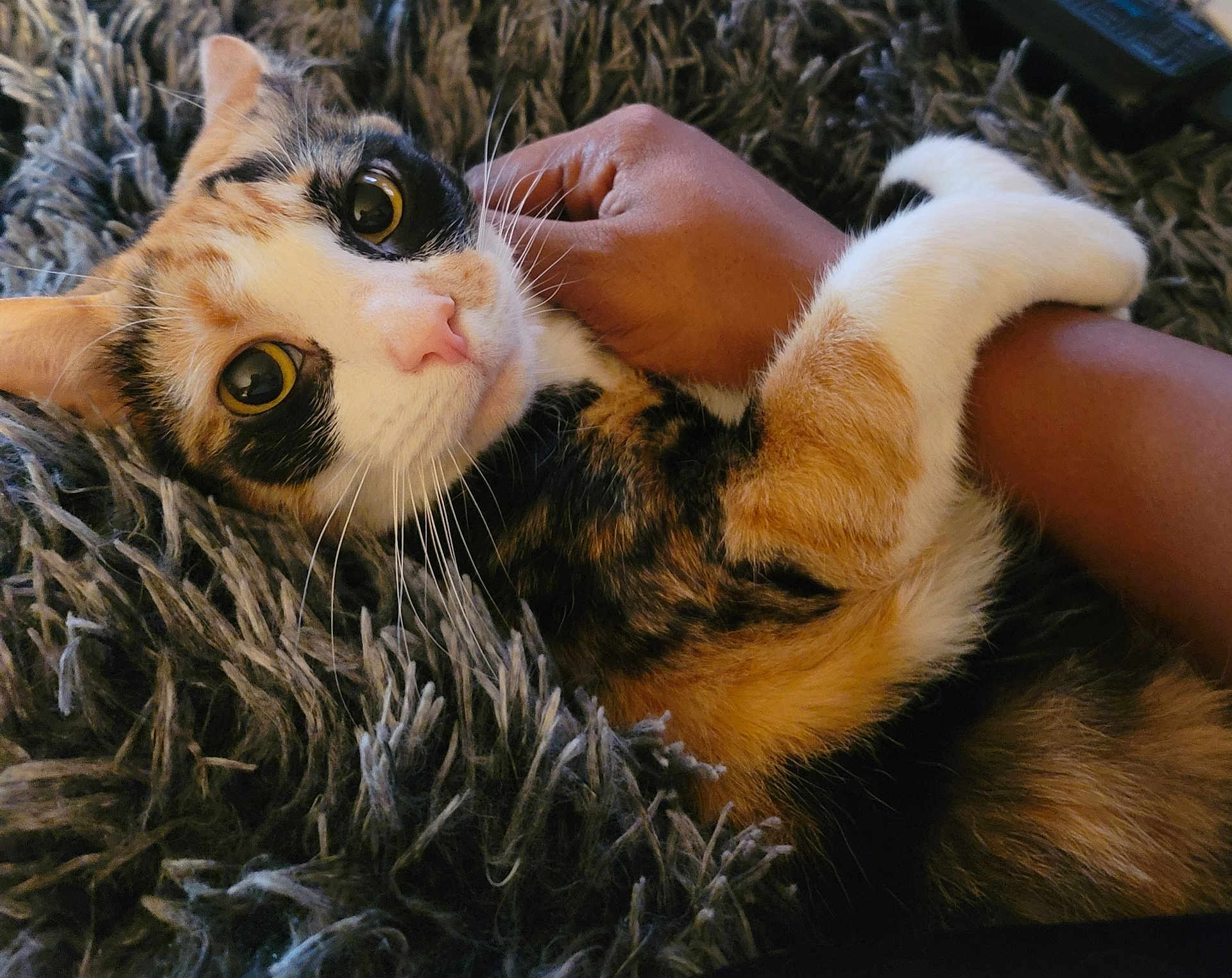 Precious