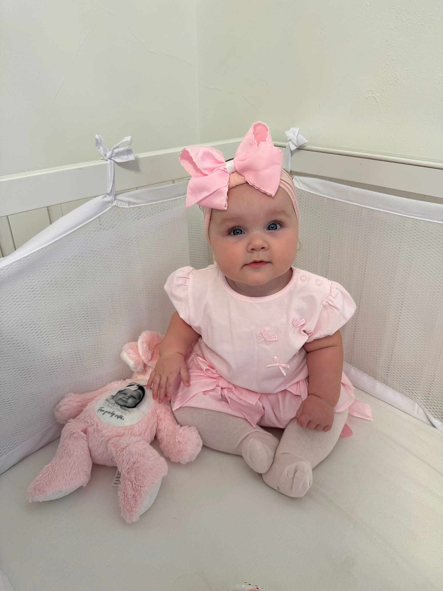 Dream is registered to the contest to win money with this photo: baby, child, pink_dress, headband, bow, stuffed_toy, crib, mesh_bumper, white_wall, sitting, infant, cute, indoor, soft_toys, toddler, portrait, chubby_cheeks, playful, comfort, childhood