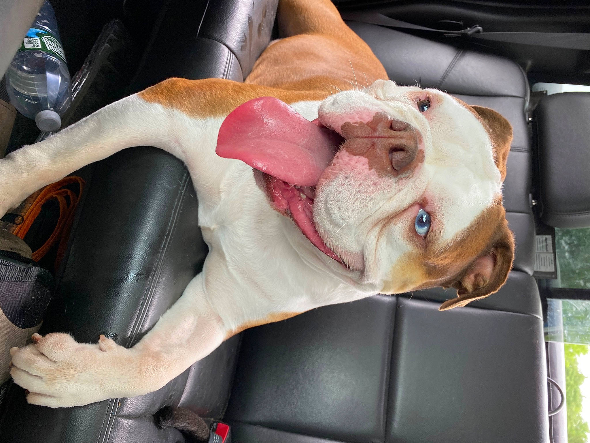 Charlie is registered to the contest to win money with this photo: auto_part, car_seat, chest, comfort, elbow, family_car, flesh, foot, gesture, human_leg, jaw, knee, medical_procedure, motor_vehicle, nail, service, thigh, thumb, wrinkle, wrist