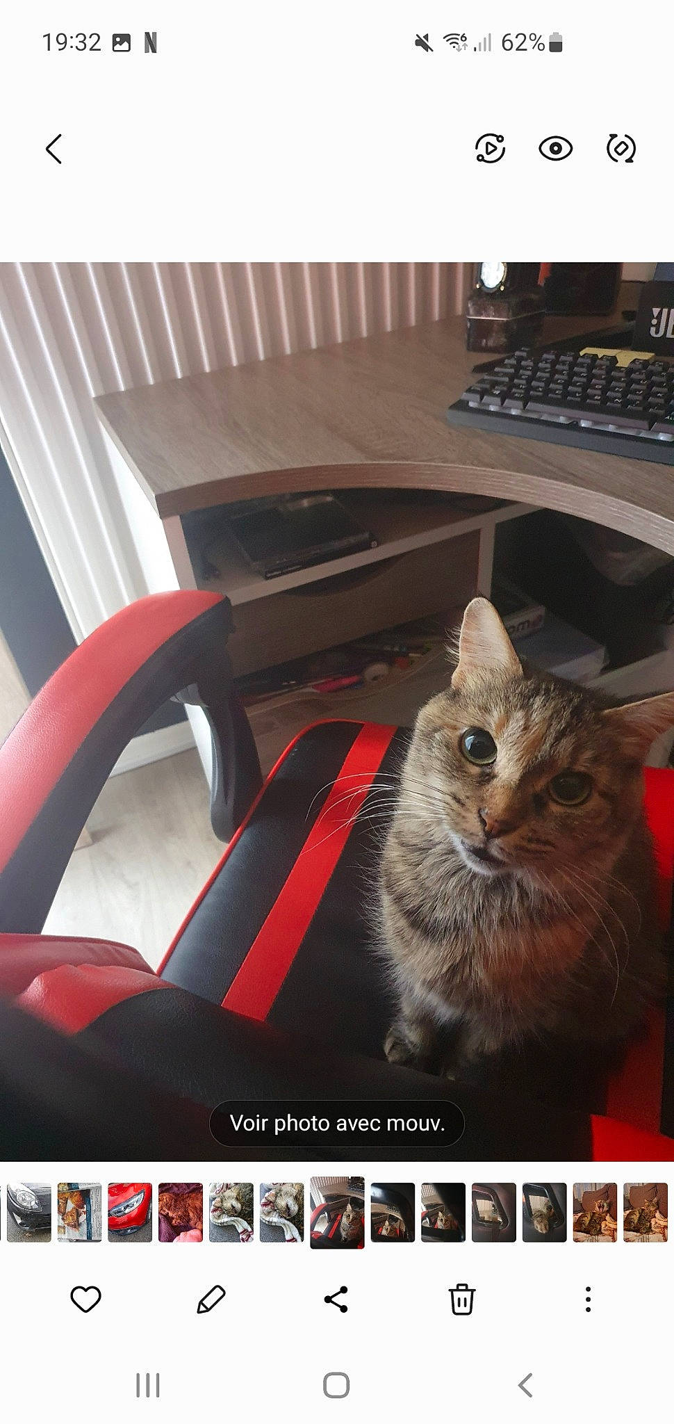 Duchesse a rejoint le concours — aidez-le/la à gagner de superbes lots ! advertising, auto_part, automotive_design, automotive_exterior, automotive_lighting, automotive_mirror, automotive_tire, carnivore, cat, domestic_short_haired_cat, felidae, font, fur, motor_vehicle, personal_luxury_car, photo_caption, small_to_medium_sized_cats, steering_wheel, vehicle_door, whiskers