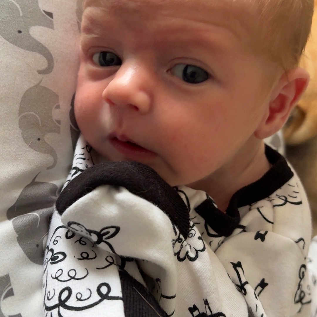 Grayson is registered to the contest to win money with this photo: baby, blanket, bodypart, clothing, coat, cushion, face, finger, hand, head, hoodie, jacket, knitwear, newborn, person, photography, portrait, quilt, sweater, sweatshirt