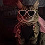 cat, tabby, heart_shaped_glasses, pink_tutu, costume, pet, indoor, feline, sitting, whiskers, ears, fur, animal, cute, accessory, cat_tree, dim_lighting, portrait, fashion, funny