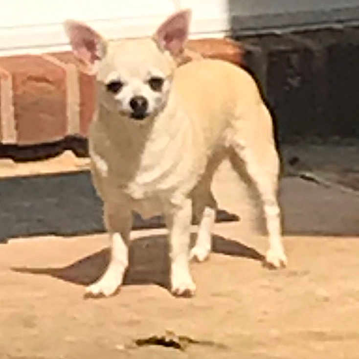 Maggie