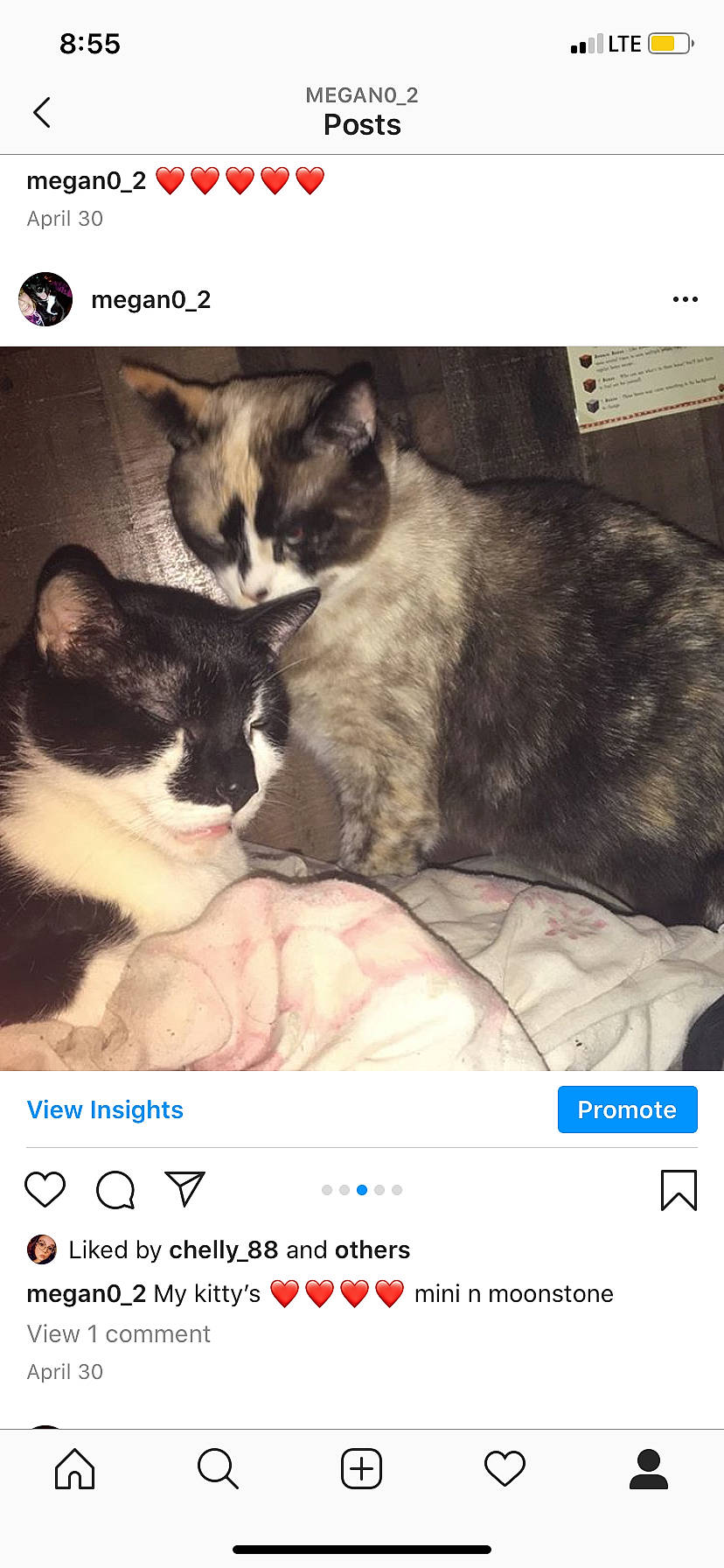 Minnie And Moonstone