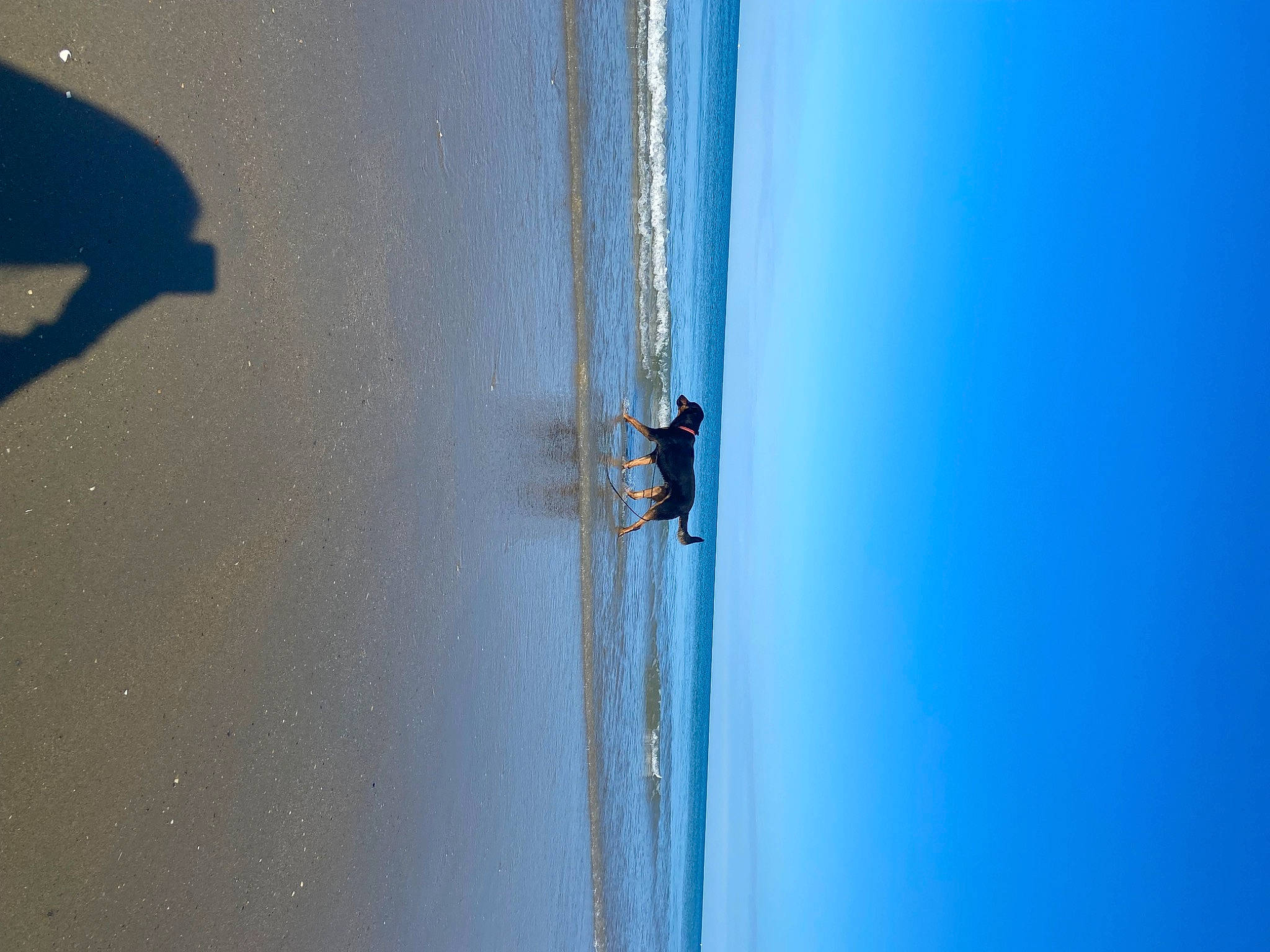 Tango a rejoint le concours — aidez-le/la à gagner de superbes lots ! azure, beach, concrete, electric_blue, fluid, lake, landscape, liquid, macro_photography, ocean, shadow, sky, slope, tints_and_shades, water, wave, wind, wind_wave, wood