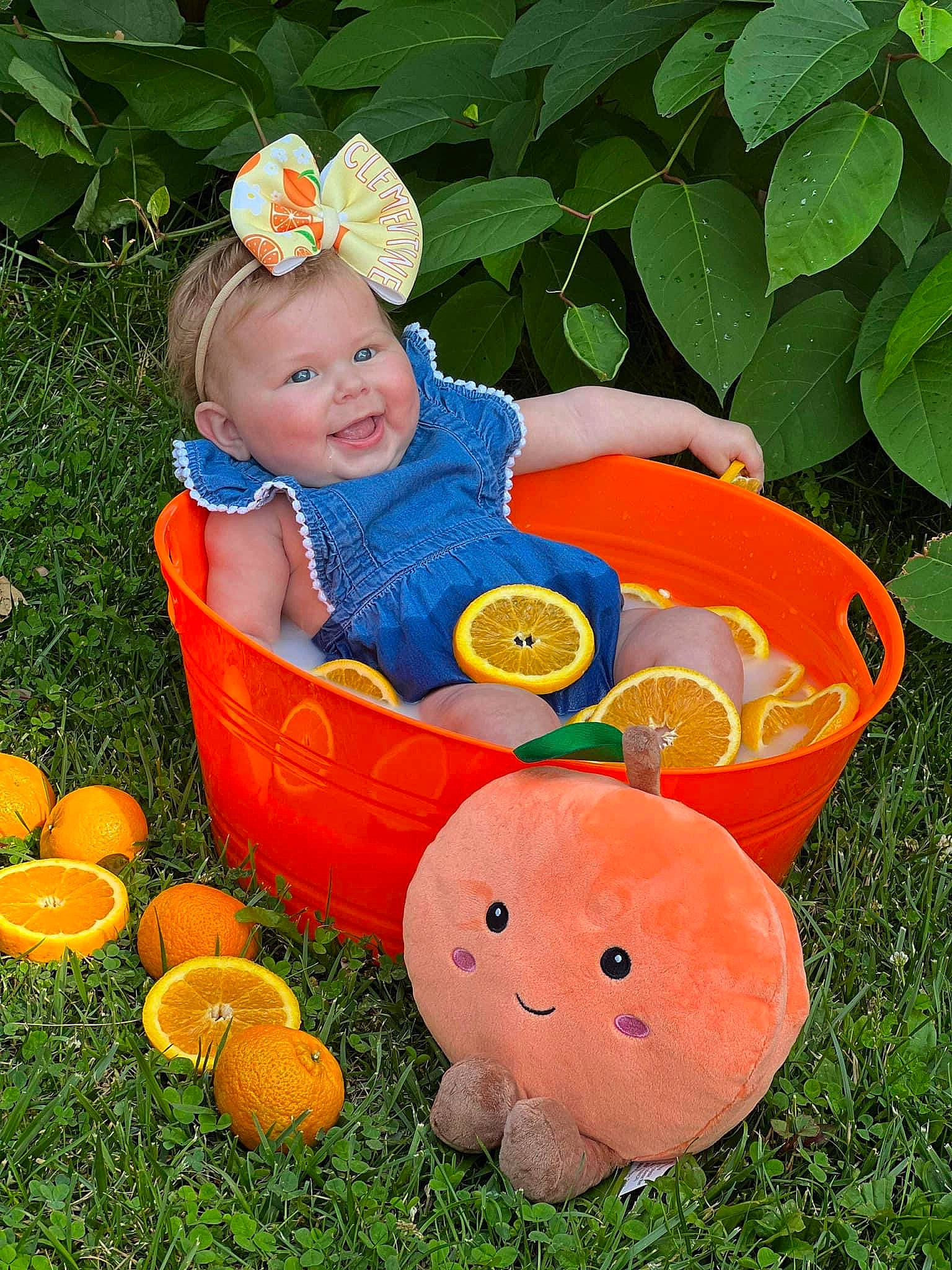 Clementine joined the competition — help win amazing prizes! baby, baby_toddler_clothing, calabaza, cucurbita, face, gourd, grass, happy, joy, natural_foods, orange, people_in_nature, person, plant, pumpkin, smile, squash, toddler, toy, tree