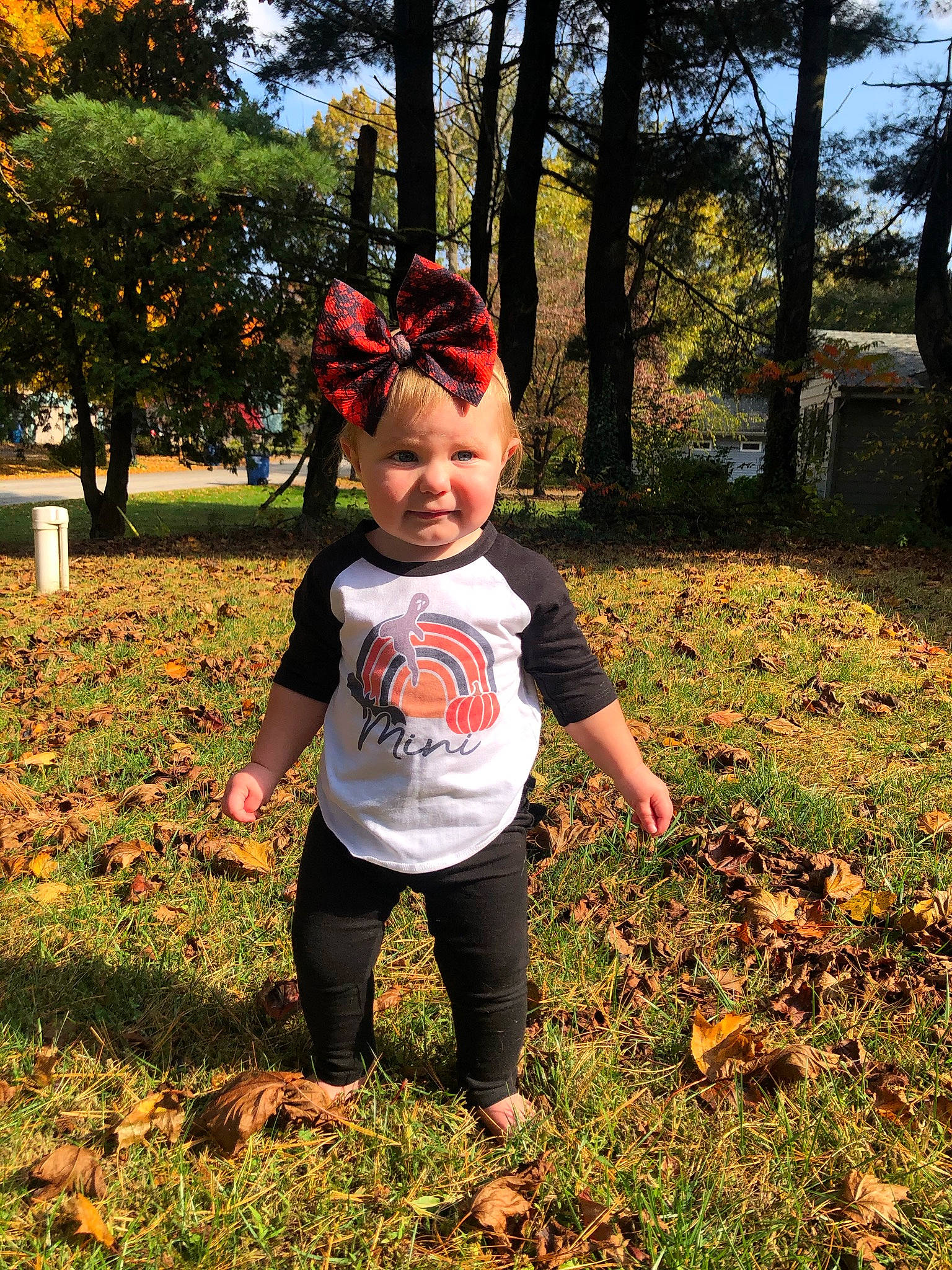 Paizley Willow is registered to the contest to win money with this photo: autumn, child, fun, grass, happy, leaf, people_in_nature, person, photography, plant, play, recreation, sky, smile, t_shirt, toddler, tree, woody_plant