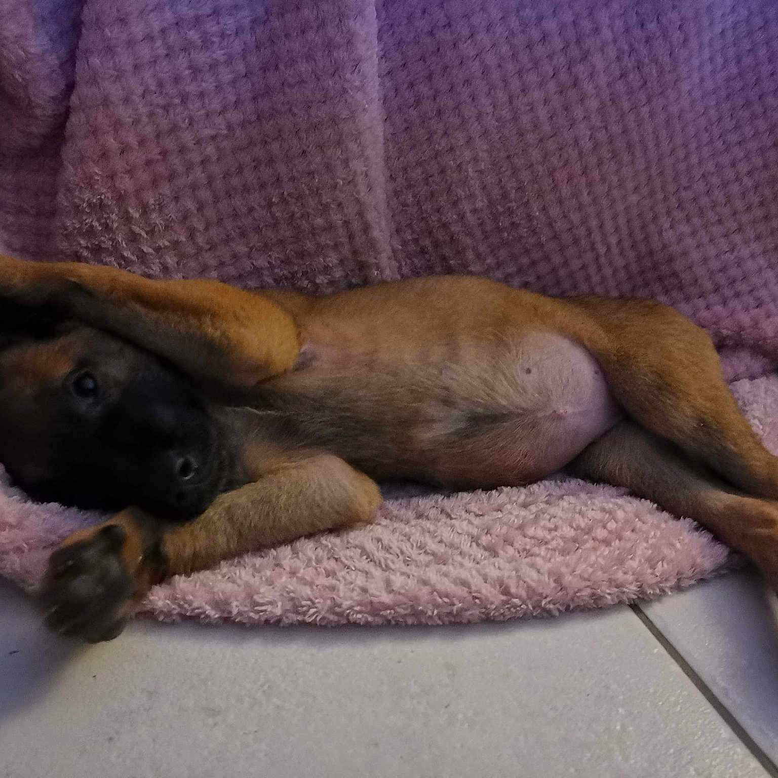 Oska Au Paradis D Orcy