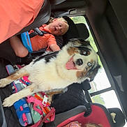 Maggie is registered to the contest to win money with this photo: dog, child, car, seat, child_seat, tattoo, window, seatbelt, smiling, happy, interior, family, road_trip, clothing, backseat, toy, colorful, pet, animal, transport