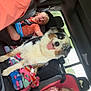 dog, child, car, seat, child_seat, tattoo, window, seatbelt, smiling, happy, interior, family, road_trip, clothing, backseat, toy, colorful, pet, animal, transport