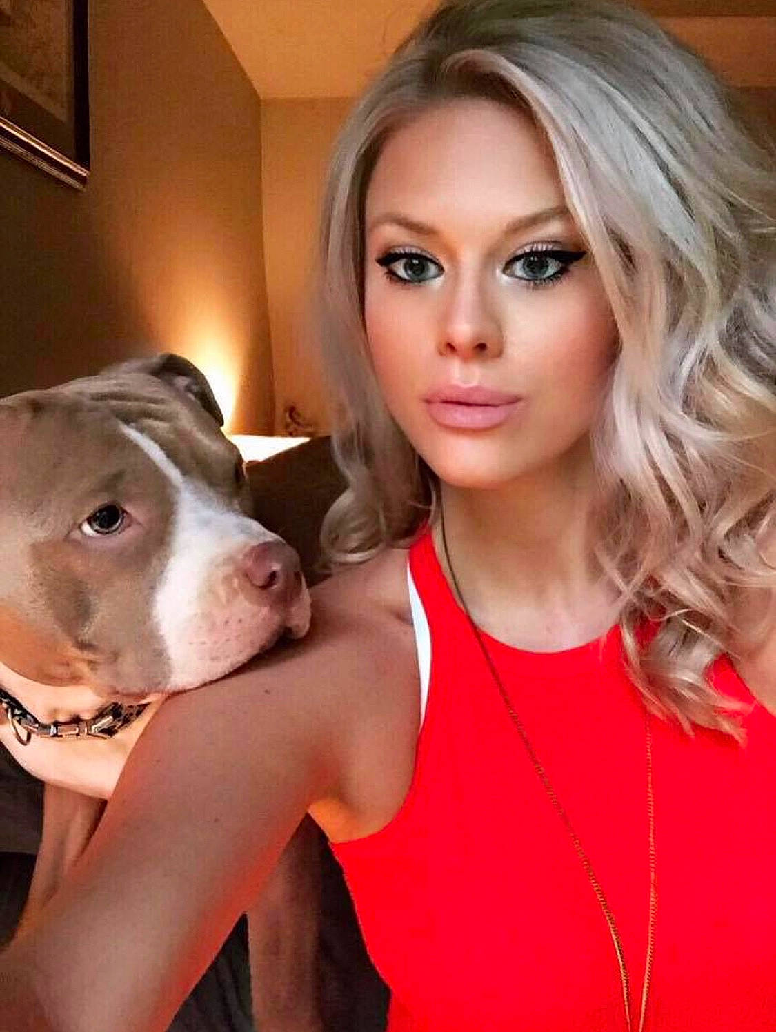 Mila is registered to the contest to win money with this photo: american_bulldog, american_pit_bull_terrier, american_staffordshire_terrier, blond, bulldog, canidae, carnivore, companion_dog, dog, dog_breed, ear, fawn, non_sporting_group, nose, photography, pit_bull, puppy_love, selfie, snout, staffordshire_bull_terrier