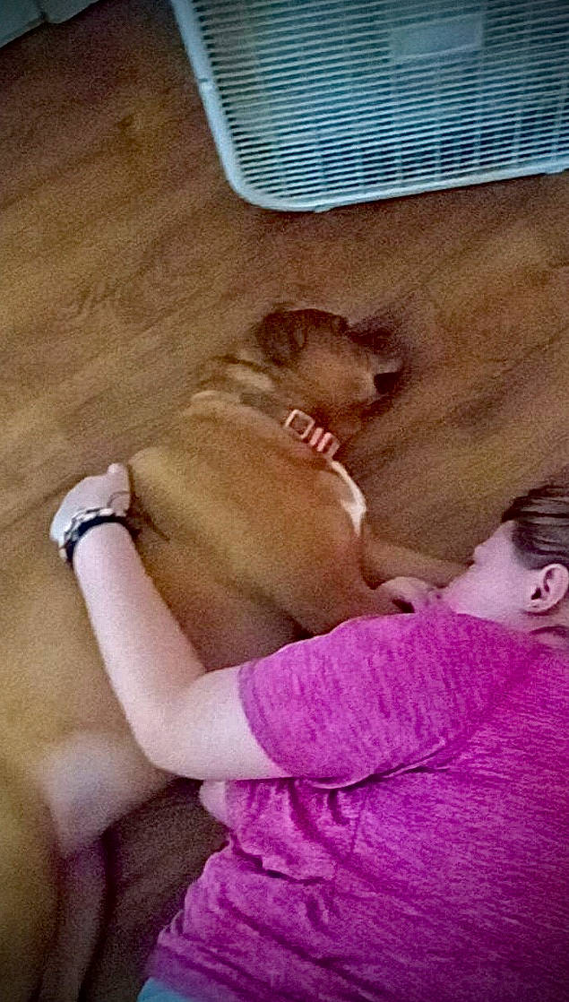 Ripley is registered to the contest to win money with this photo: abdomen, baby, bedtime, chest, child, comfort, companion_dog, fawn, fur, linens, magenta, nap, pink, room, sitting, sleep, thigh, toddler, trunk, wood