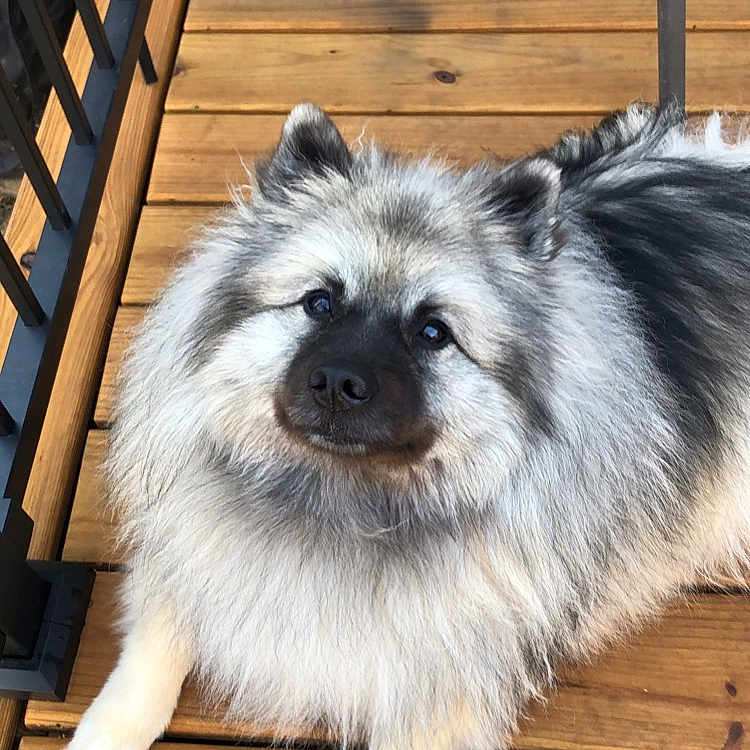 Zoey
