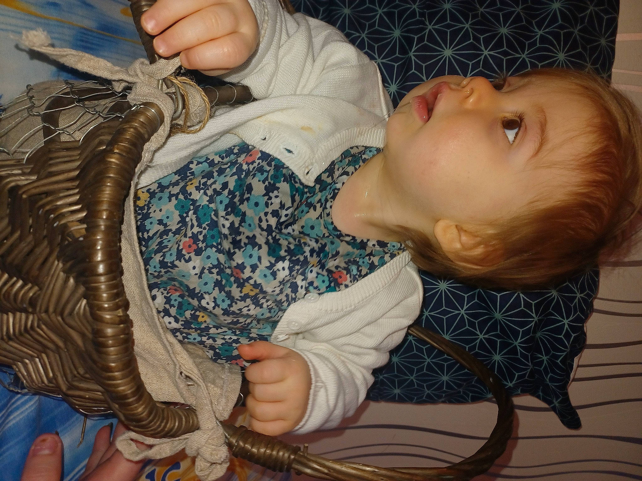 Alya a rejoint le concours — aidez-le/la à gagner de superbes lots ! arm, art, baby, baby_toddler_clothing, beauty, bird, cheek, child, comfort, human_body, iris, lap, painting, pattern, person, sitting, skin, sleeve, toddler, visual_arts