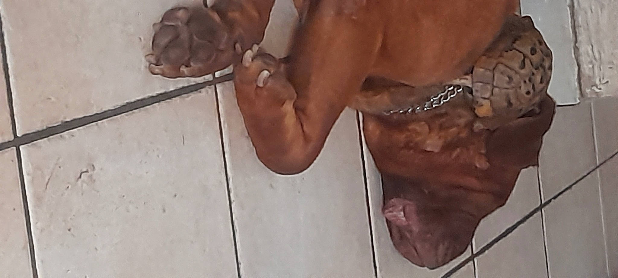 Layia participe au concours pour gagner de l'argent avec cette photo : abdomen, art, barechested, barefoot, chest, elbow, flesh, foot, gesture, human_leg, jaw, knee, thigh, thumb, toe, trunk, wood, wrist