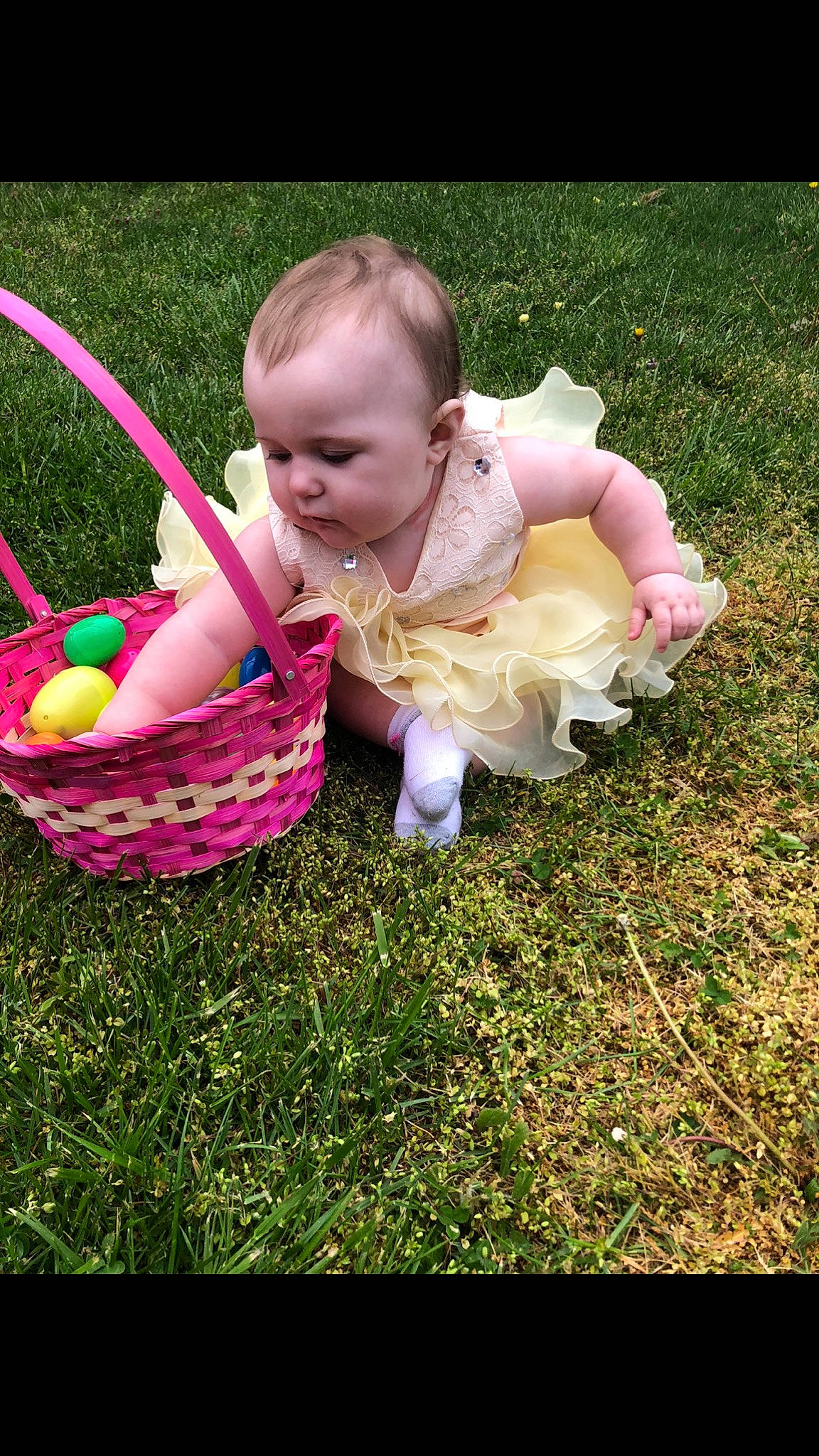 Scarlett is registered to the contest to win money with this photo: baby, baby_toddler_clothing, basket, child, easter, event, fun, garden, grass, happy, leisure, meadow, people_in_nature, person, petal, pink, play, recreation, sitting, toddler