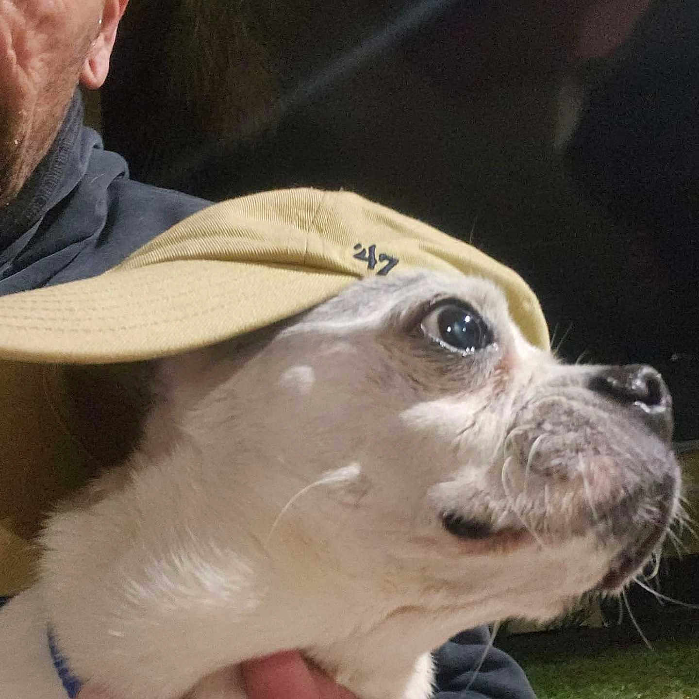 Delilah