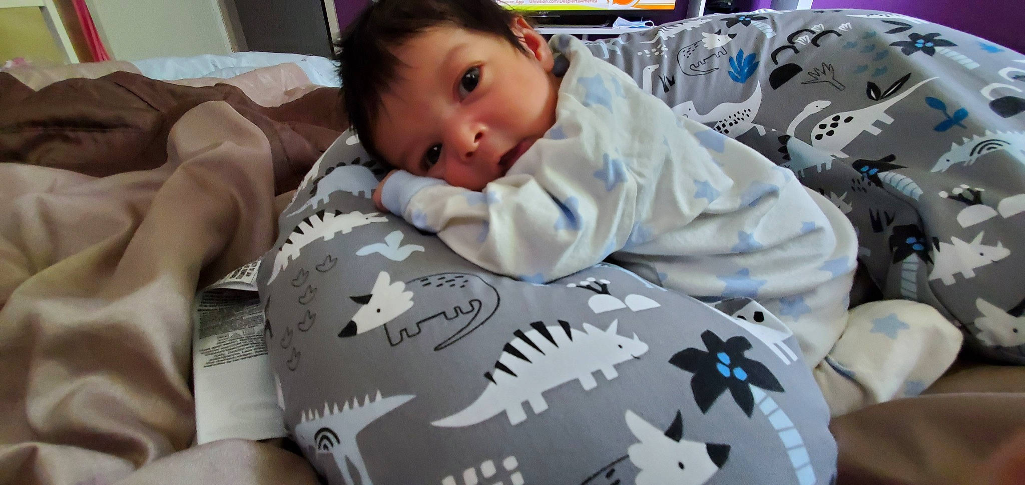 Alejandro is registered to the contest to win money with this photo: baby, bedtime, birth, cheek, child, nap, person, sleep, toddler
