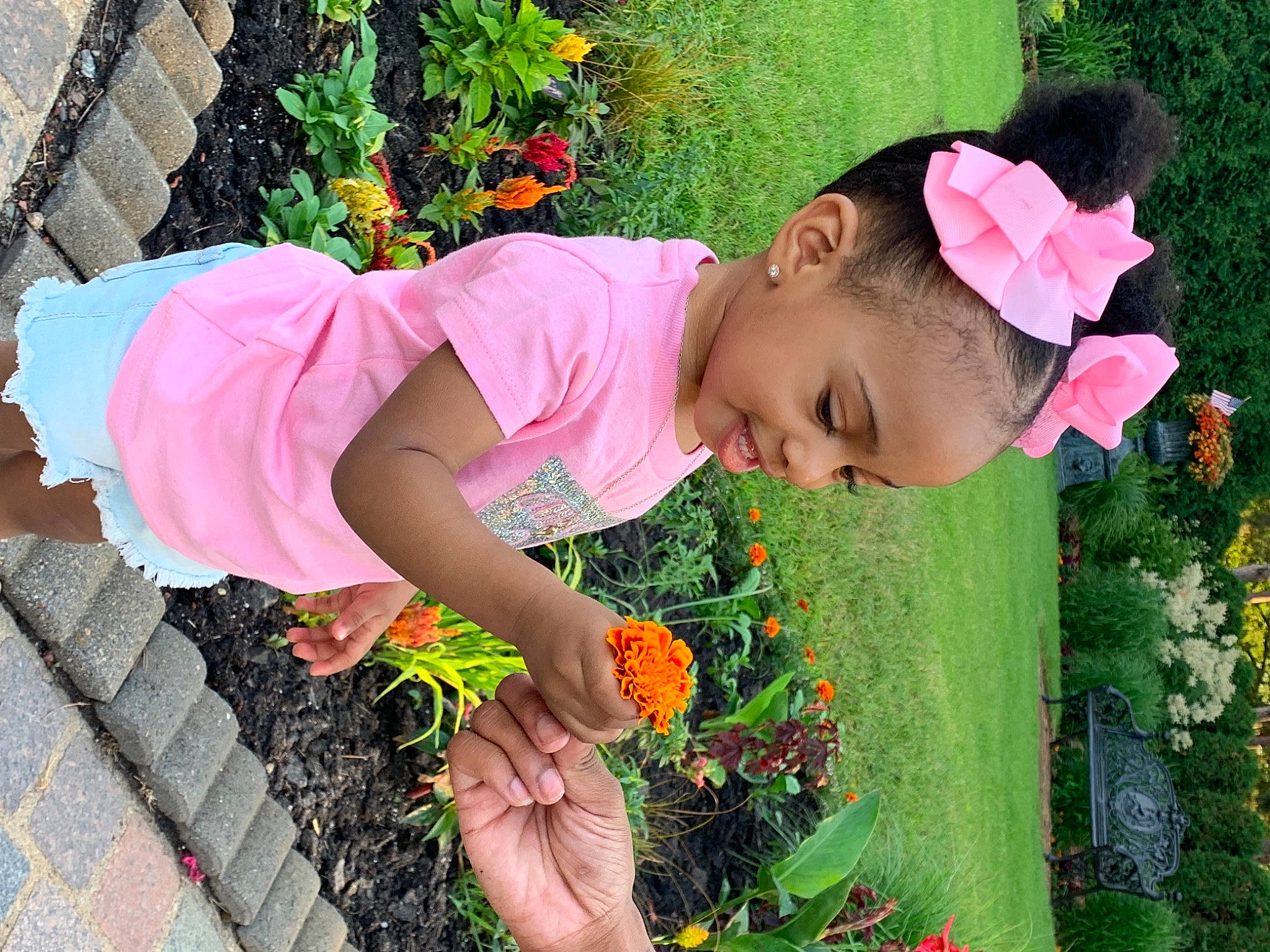 Kylie Lynn is registered to the contest to win money with this photo: annual_plant, baby_toddler_clothing, botany, child, flower, fun, grass, hairstyle, happy, hat, leaf, leisure, magenta, orange, people_in_nature, person, petal, pink, plant, summer