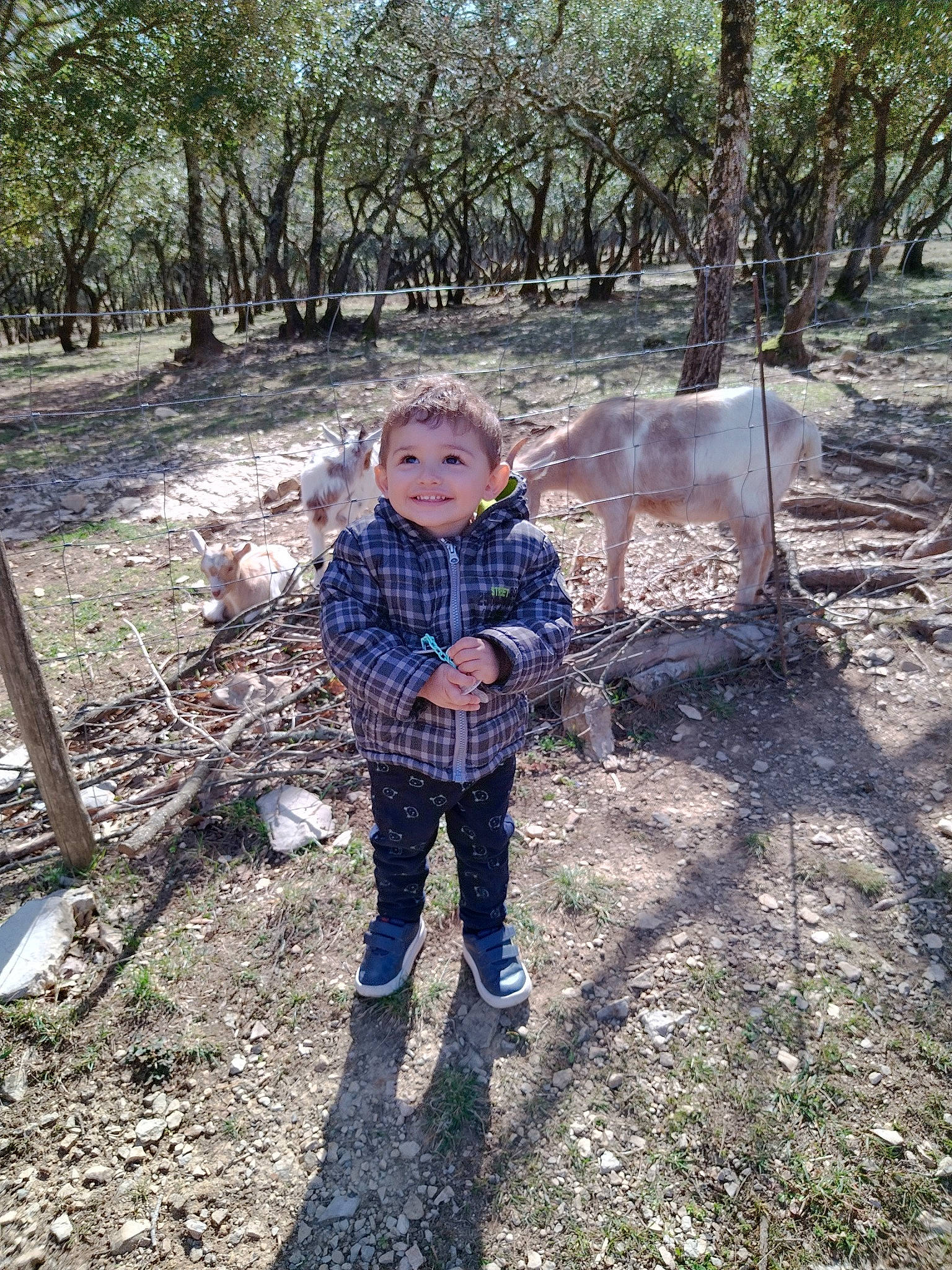Gianni participe au concours pour gagner de l'argent avec cette photo : baby, child, forest, fun, grass, joy, jungle, landscape, natural_landscape, people_in_nature, person, plant, recreation, rock, soil, toddler, trail, tree, trunk, walking