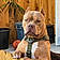 Bruce