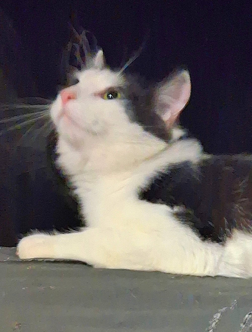 Gremlin