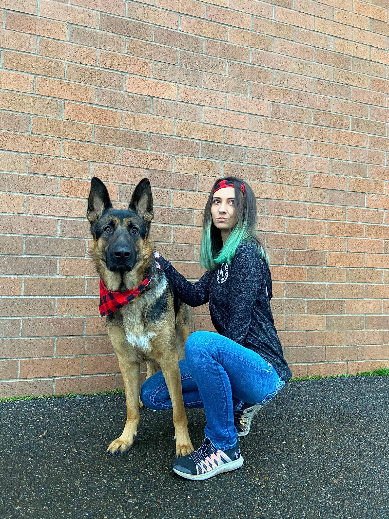 Tripp joined the competition — help win amazing prizes! belgian_shepherd, belgian_shepherd_malinois, canidae, carnivore, dog, dog_breed, east_european_shepherd, fawn, german_shepherd_dog, king_shepherd, kunming_wolfdog, mammal, old_german_shepherd_dog, rare_breed_dog, shiloh_shepherd_dog, sitting, snout, vertebrate, working_dog