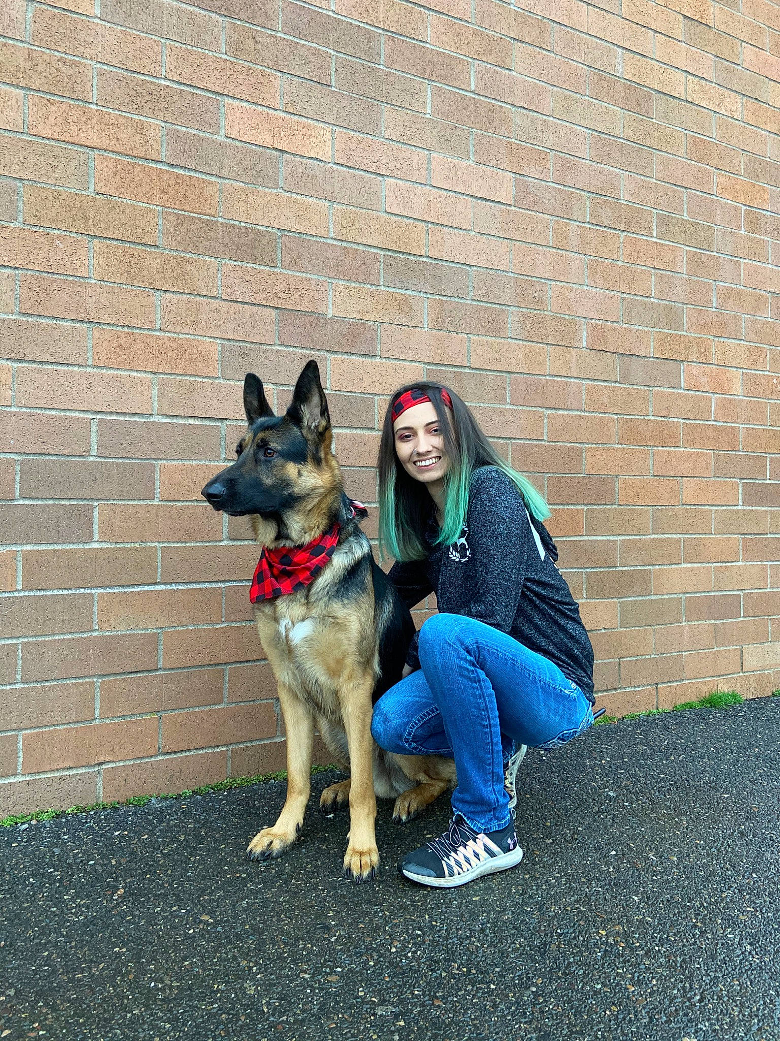 Tripp joined the competition — help win amazing prizes! akita, canidae, carnivore, dog, dog_breed, east_european_shepherd, fawn, german_shepherd_dog, king_shepherd, kunming_wolfdog, mammal, rare_breed_dog, shiloh_shepherd_dog, snout, vertebrate, working_dog