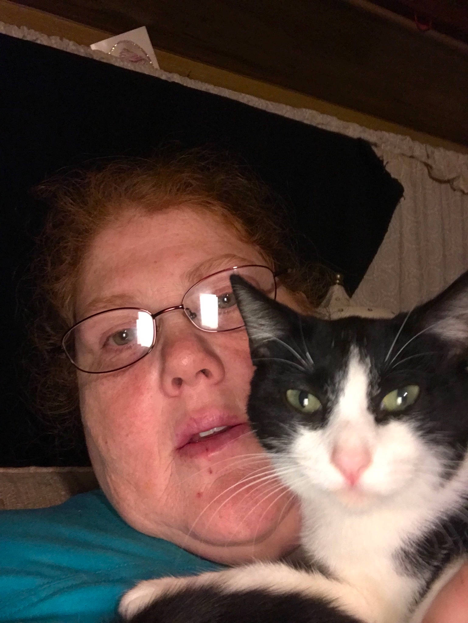 Angels is registered to the contest to win money with this photo: carnivore, cat, eye, felidae, fur, glasses, nose, person, photography, selfie, small_to_medium_sized_cats, smile, snowshoe, whiskers