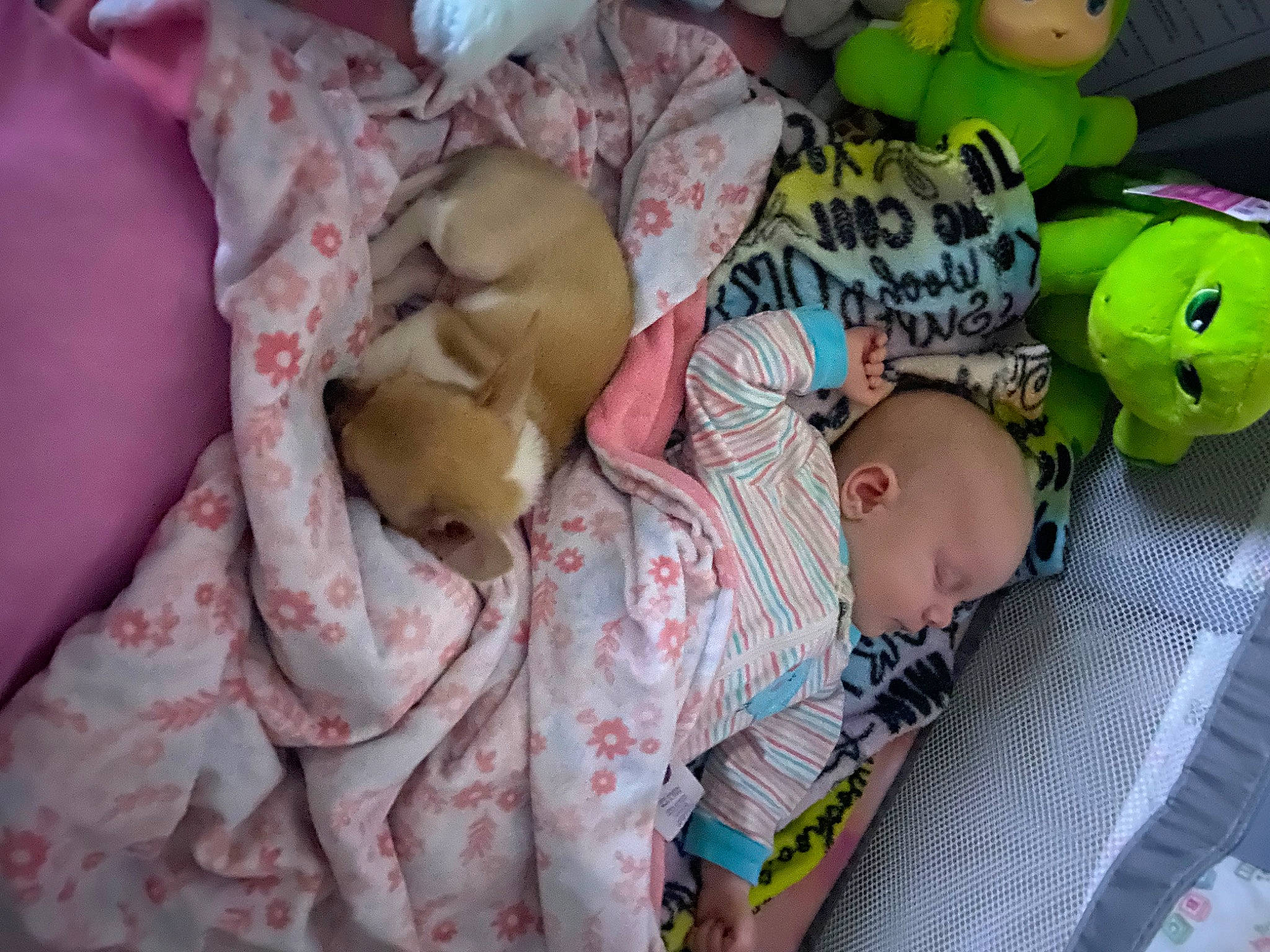 Isabella joined the competition — help win amazing prizes! baby, baby_products, baby_safety, baby_sleeping, baby_toddler_clothing, baby_toys, bedtime, child, comfort, infant_bed, linens, nap, pattern, person, pink, room, sleep, stuffed_toy, toddler, toy