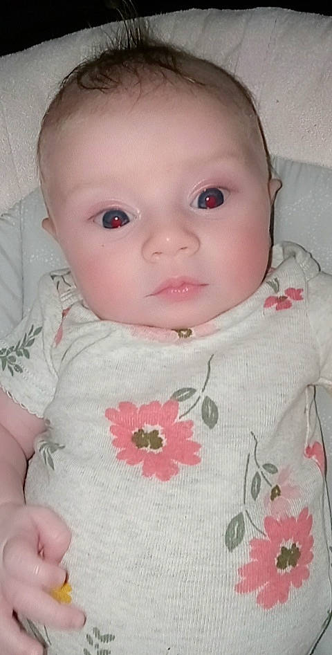 Nova joined the competition — help win amazing prizes! baby, baby_toddler_clothing, beauty, cheek, chin, collar, dress, eyelash, flower, human_body, lip, nose, organ, person, pink, plant, skin, sleeve, textile, toddler