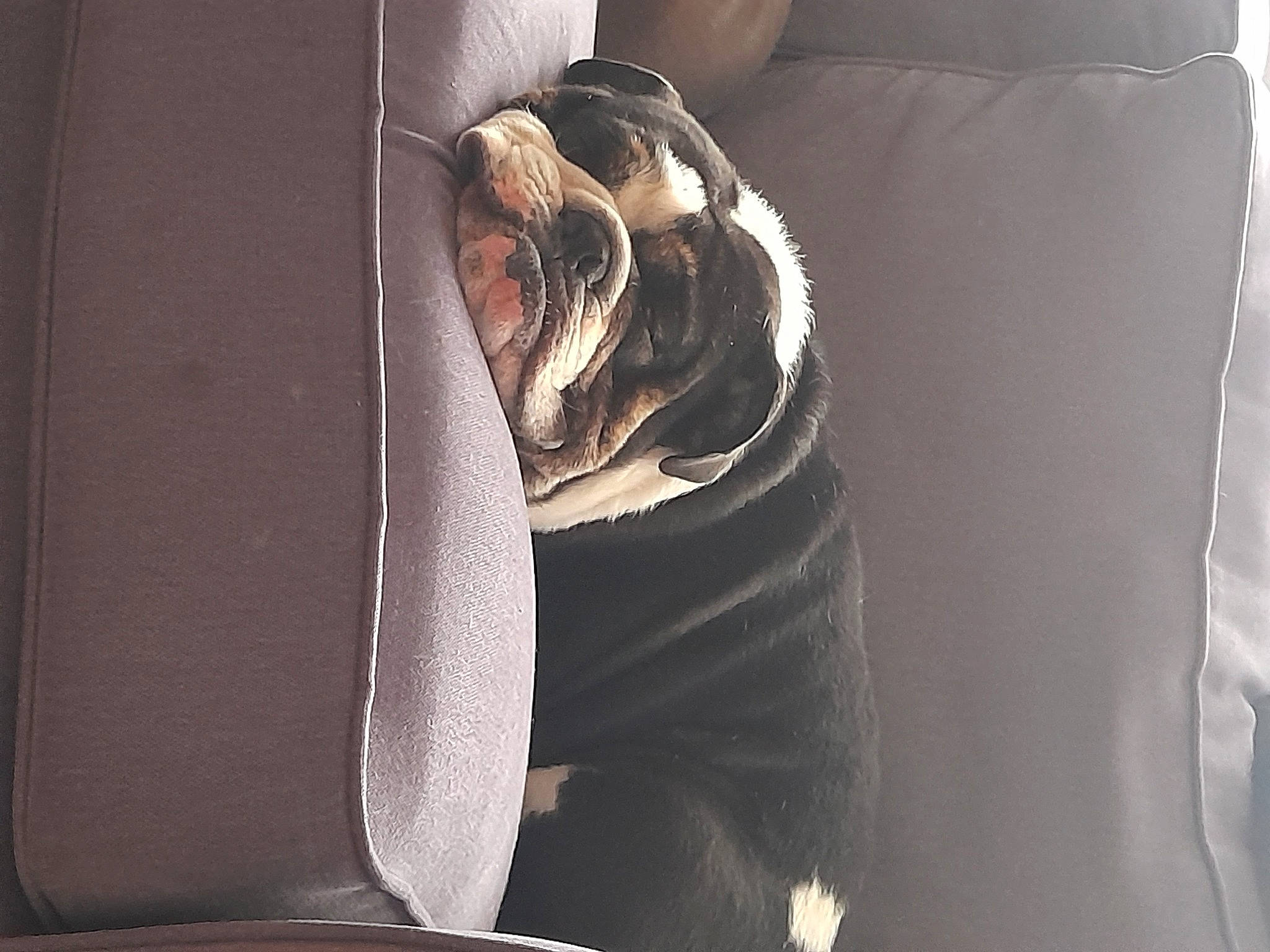 George is registered to the contest to win money with this photo: automotive_tire, bag, carmine, comfort, couch, elbow, eyewear, flooring, grey, human_leg, knee, linens, room, sitting, sleeve, textile, thigh, tints_and_shades, waist, wood