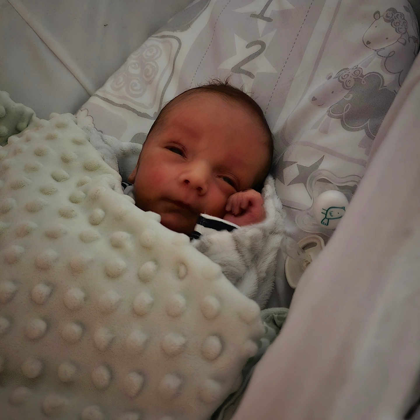 Elijah is registered to the contest to win money with this photo: baby, bed, bedroom, blanket, cradle, crib, cushion, face, furniture, head, homedecor, indoors, infantbed, newborn, person, photography, portrait, quilt, room, sleeping