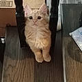 Charleigh P.
