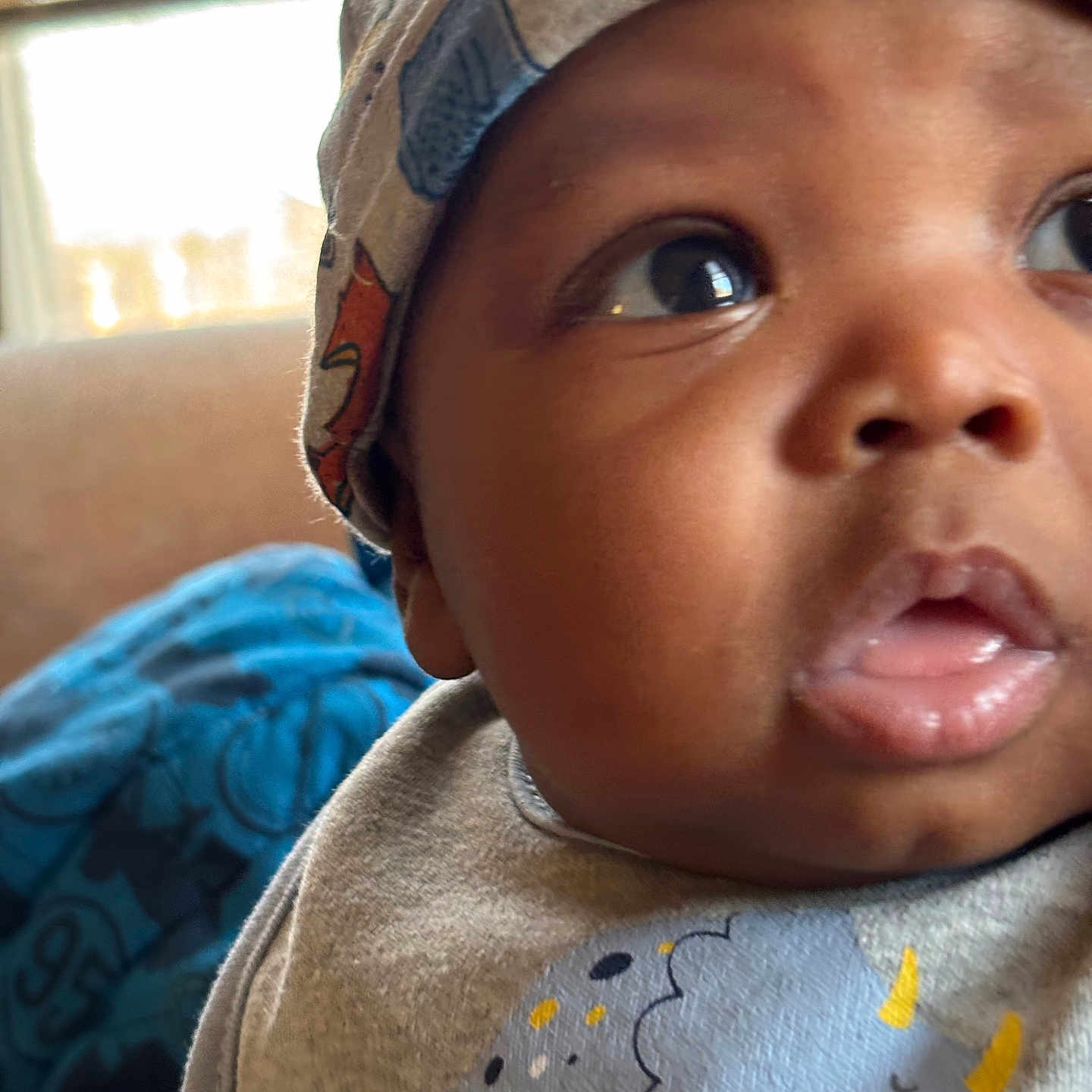 Randy joined the competition — help win amazing prizes! animal_print, baby, bib, child, close_up, clothing, cozy, curious, cute, dinosaur, expression, face, hat, indoor, infant, natural_light, portrait, smiling, soft_light, window