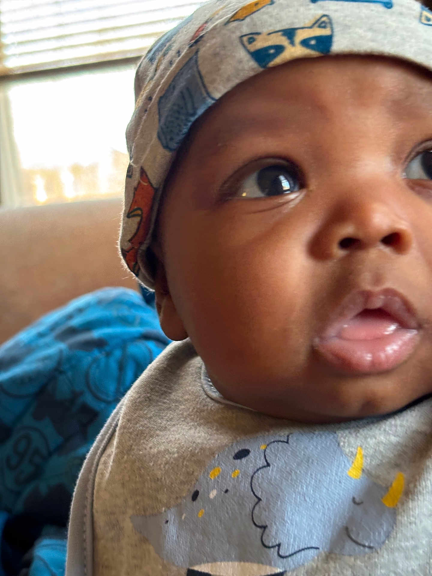 Randy joined the competition — help win amazing prizes! baby, close_up, face, hat, bib, animal_print, indoor, window, natural_light, curious, child, infant, cute, expression, clothing, portrait, dinosaur, smiling, soft_light, cozy