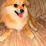 Vicky a rejoint le concours — aidez-le/la à gagner de superbes lots !