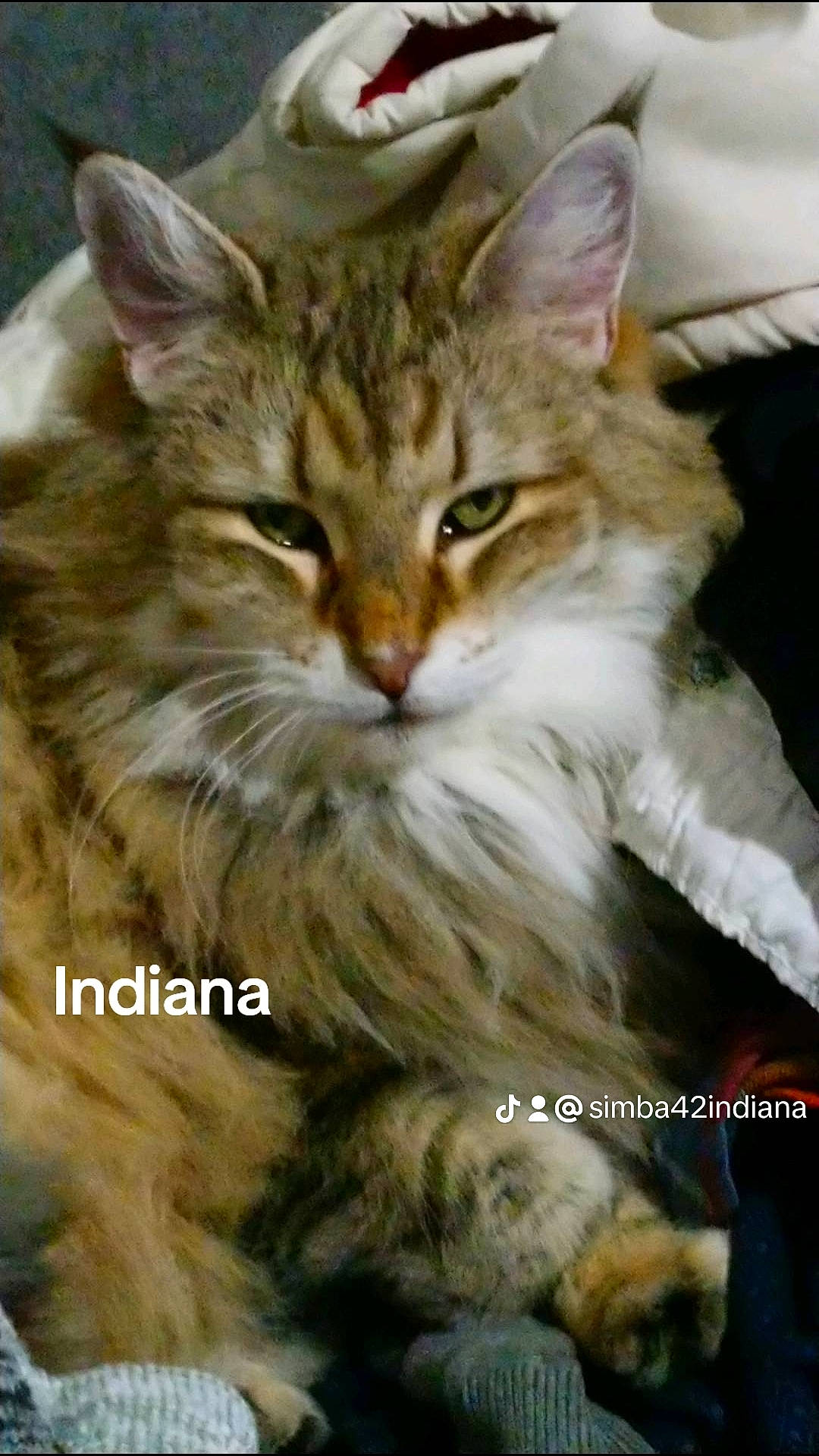 Indiana