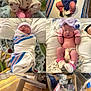 baby, newborn, infant, sleeping, swaddled, bassinet, hospital_blanket, hospital, crib, blanket, hat, mittens, diaper, pink, blue, collage, hospital_id_band, name_tag, cozy, portrait