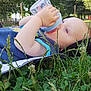 Charly participe au concours pour gagner de l'argent avec cette photo : baby, blanket, blue_clothing, bottle, child, clover, drinking, face, grass, greenery, head, nature, outdoor, park, peaceful, person, relaxing, summer, sunny, young_child