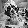 dog, puppy, mirror, makeup, lipstick, towel, bathroom, vanity, brush, makeup_palette, reflection, black_and_white, portrait, pet, paw, nose, speckled_coat, countertop, cosmetics_bottle, playful