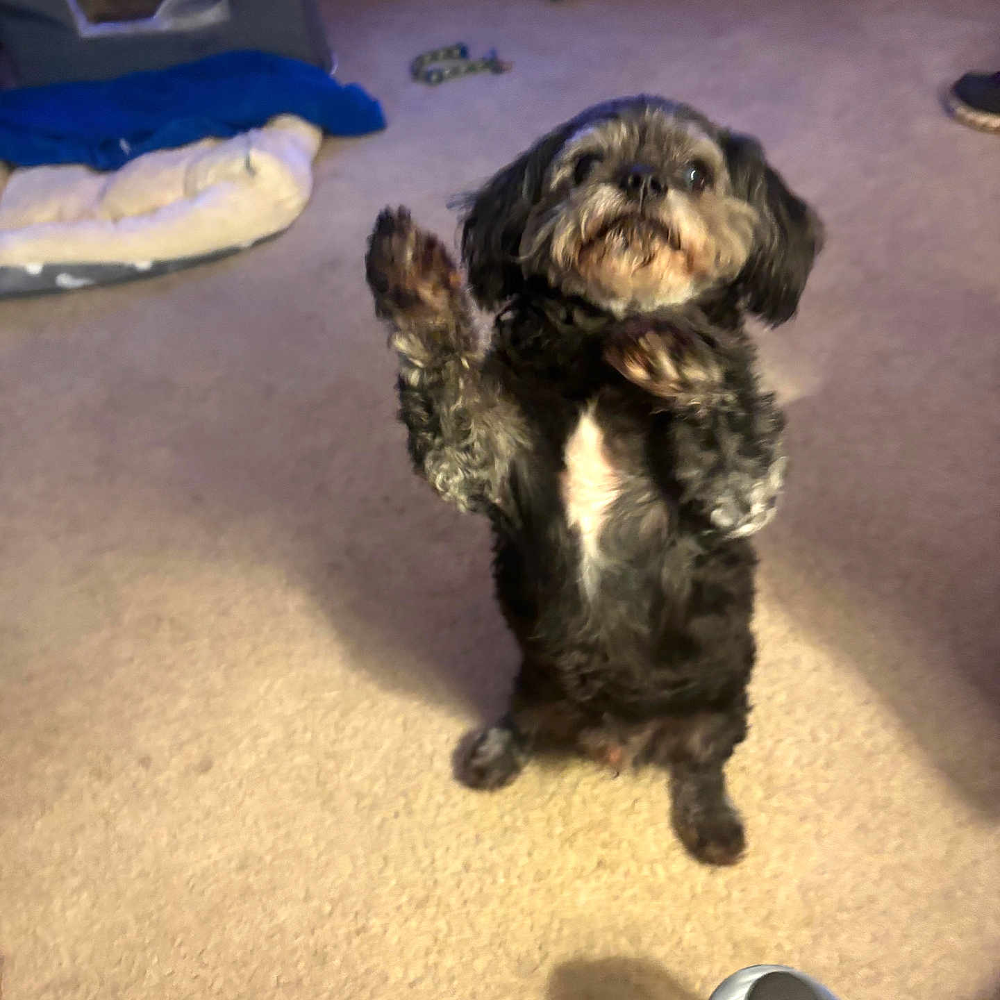 Deuce